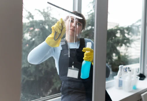 Nettoyage de vitres intérieures et extérieures à la Bridoire